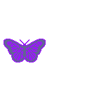 bflydark