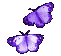 bflys