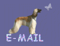 EMAIL1