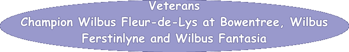 Veterans