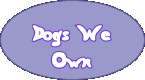 Dogs We 