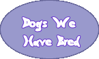 Dogs We