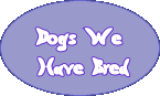 Dogs We
