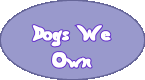 Dogs We 