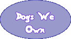 Dogs We 