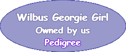  Wilbus Georgie Girl