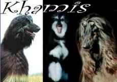 khamisdogslogo