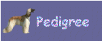 PEDIGR1